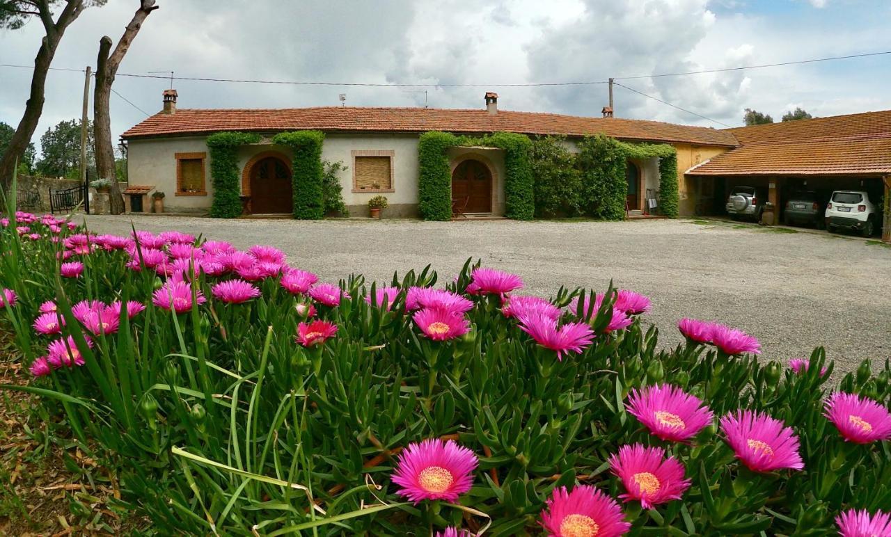 Agriturismo Monte Alzato Capalbio Exterior photo
